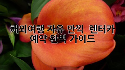 해외여행 자유 만끽! 🚗💨 렌터카 예약 완벽 가이드